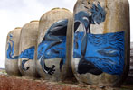 laguna | blue | fish | almagro | spain (34 votes)
