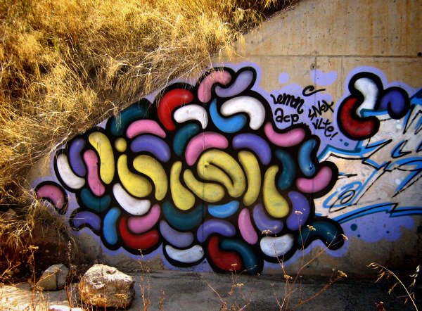 limon | valencia | spain