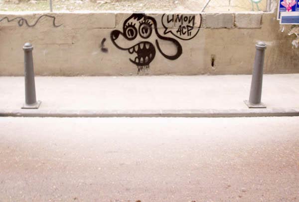 limon | valencia | spain | dog