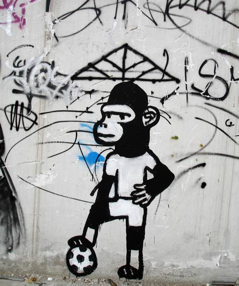 limow | murcia | monkey | spain