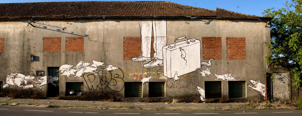 liqen | rat | galicia | spain