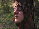mesa | tree | spain (65 votes)