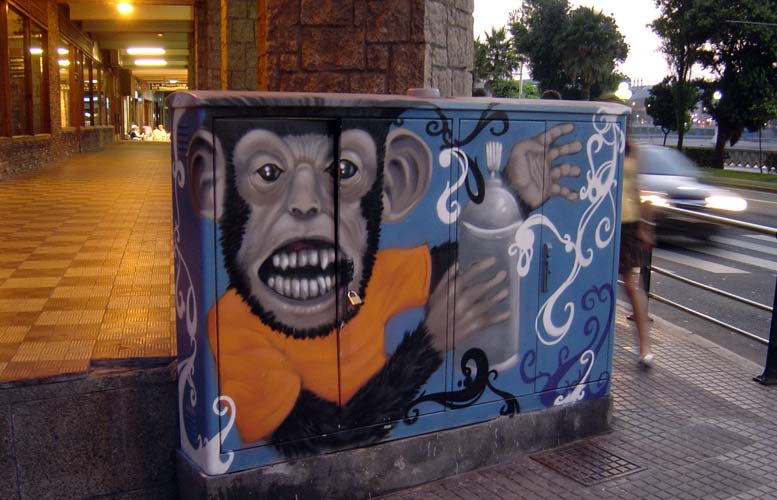 monkey | galicia | spain