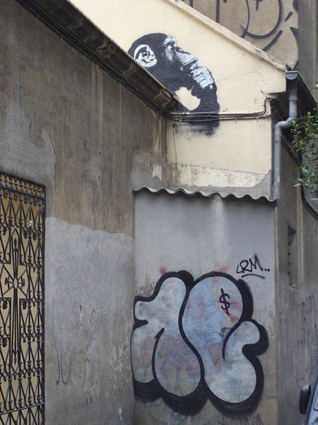 noaz | monkey | madrid | spain