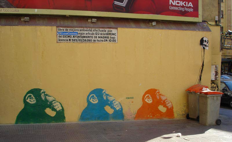 noaz | monkey | madrid | spain