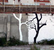 pablo-s-herrero | rope | tree | spain (21 votes)