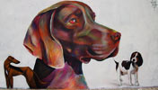 pichi | avo | dog | valencia | spain (28 votes)