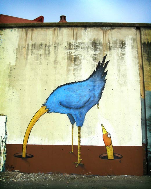 steon | bird | spain