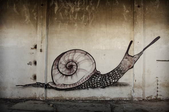 steon | snail | spain