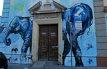 jaz | laguna | blue | elephant | madrid | spain (19 votes)