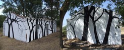 pablo-s-herrero | salamanca | tree | spain (42 votes)