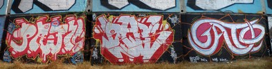 pafh | peps | gato | spain (16 votes)