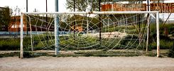 spy | football | spain (179 votes)