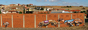 dier | zamora | dog | spain (55 votes)