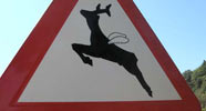 e1000ink | roadsign | spain (17 votes)