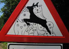 e1000ink | roadsign | spain (24 votes)