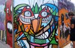kenor | pez | canarias | islas | spain (3 votes)