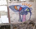 kenor | pez | canarias | islas | spain (1 vote)