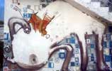 lahe | srg | sevilla | spain (3 votes)
