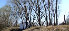 pablo-s-herrero | lasogaalcielo | tree | salamanca | spain (24 votes)