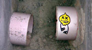 lemon | valencia | spain (16 votes)