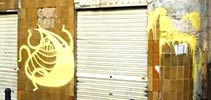 limon | yellow | valencia | spain (9 votes)