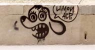 limon | valencia | spain | dog (2 votes)