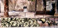 limon | valencia | spain (4 votes)
