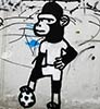 limow | murcia | monkey | spain (19 votes)