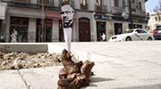 mejiandco | spain (35 votes)