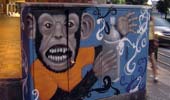 monkey | galicia | spain (3 votes)
