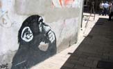 noaz | monkey | zaragoza | spain (8 votes)