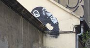 noaz | monkey | madrid | spain (26 votes)