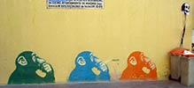 noaz | monkey | madrid | spain (35 votes)