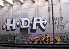 ring | kans | sperm | hda | spain (11 votes)