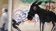 sam3 | murcia | donkey | spain (26 votes)