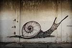 steon | snail | spain (16 votes)