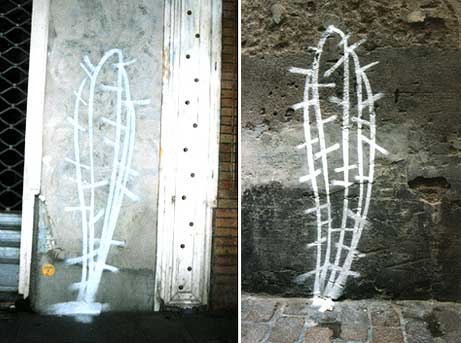 cactus | toulouse