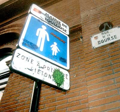 cactus | toulouse