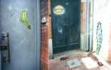 cactus | toulouse