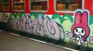ninja | train-bordeaux