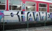 shaame | train-bordeaux
