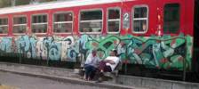 taspe | arse | train-bordeaux