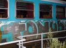 tonus | train-bordeaux