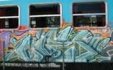 unknown | train-bordeaux (1 vote)