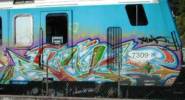 unknown | train-bordeaux