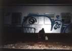 p25 | train-italy | whale (1 vote)