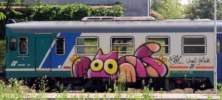 sqon | train-italy | cat (14 votes)