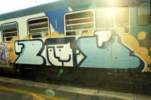 zuek | train-italy (1 vote)