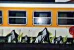 vania | train-montpellier